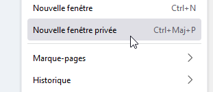 Pr parer ses vacances en ligne navigation priv e 2.png