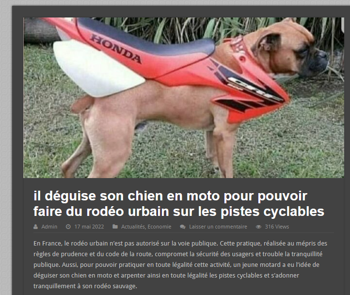 Atelier sur les r seaux sociaux rod o urbain chien.png