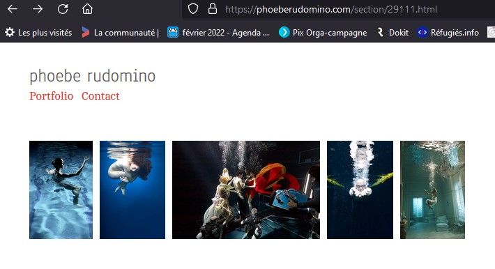 Faire une recherche invers e par images avec Tineye phoebe rudomino.jpg