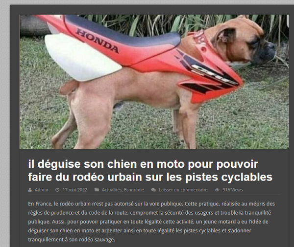 Atelier sur les r seaux sociaux rod o urbain chien.png