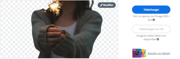 Supprimer et modifier le fond d une image Capture d cran 2023-01-02 100521.png