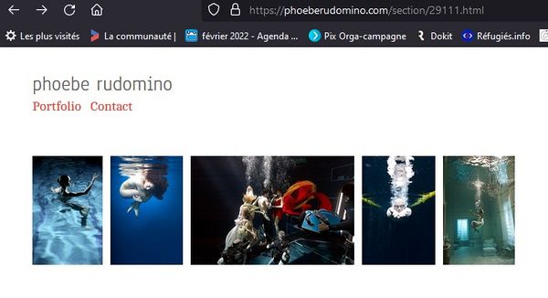Faire une recherche invers e par images avec Tineye phoebe rudomino.jpg