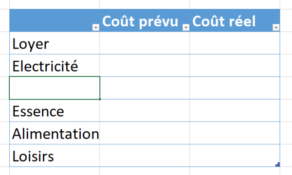 Ins rer une ligne dans un tableau - Excel Capture d cran 2024-03-27 140924.png